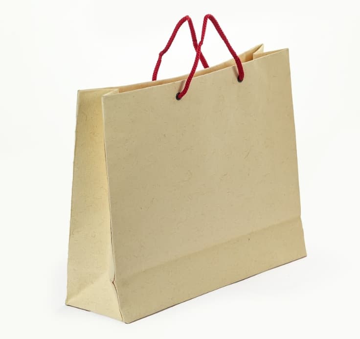 Prakriti Real Dry Flower Gift Bag – Big