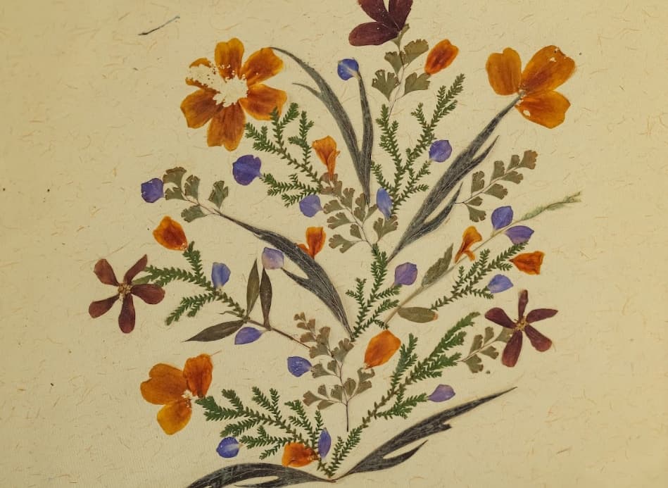 Prakriti Real Dry Flower Gift Bag – Big